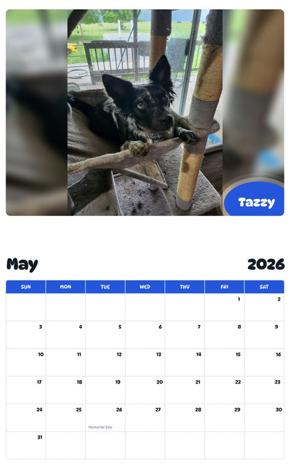 2026 - 2027 Tazzy - Pawidols Pet Calendar