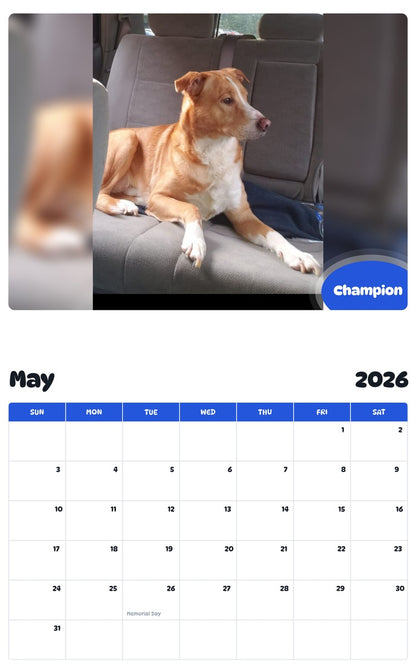 2026 - 2027 Champion - Pawidols Pet Calendar