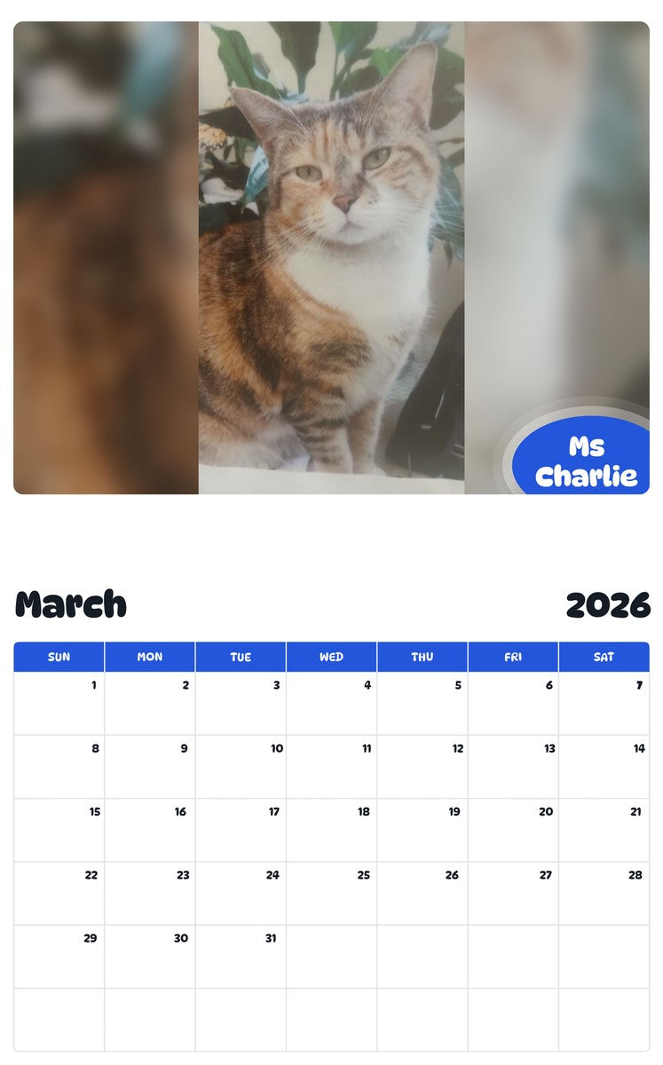 November 2025 - October 2026 Ms Charlie - Pawidols Pet Calendar