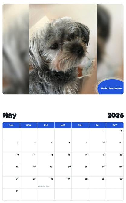 2026 - 2027 Marley Ann Jenkins - Pawidols Pet Calendar