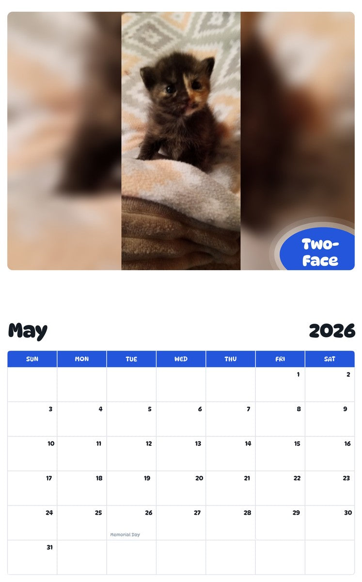 2026 - 2027 Two-Face - Pawidols Pet Calendar