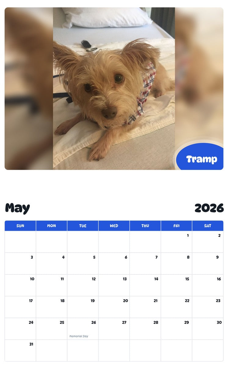2026 - 2027 Tramp - Pawidols Pet Calendar