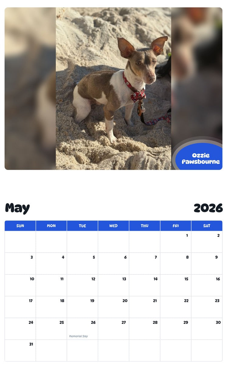 2026 - 2027 Ozzie Pawsbourne - Pawidols Pet Calendar