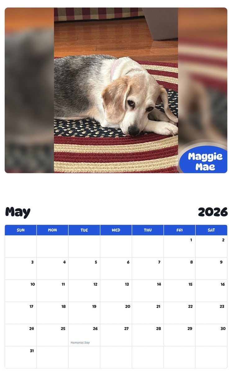 2026 - 2027 Maggie Mae - Pawidols Pet Calendar