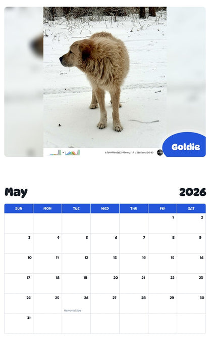2026 - 2027 Goldie - Pawidols Pet Calendar