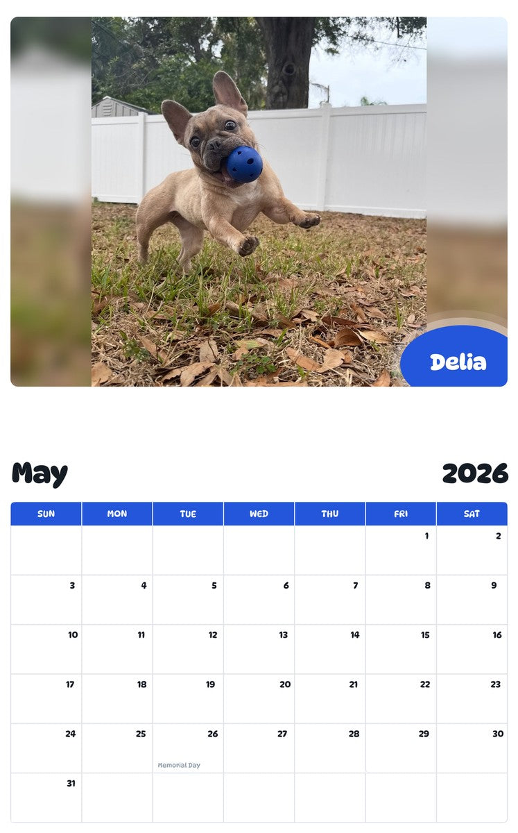 2026 - 2027 Delia - Pawidols Pet Calendar