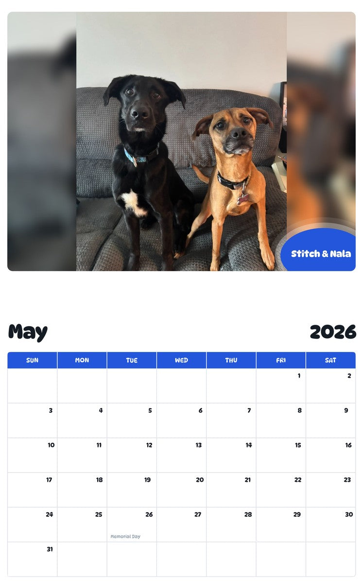 2026 - 2027 Stitch & Nala - Pawidols Pet Calendar