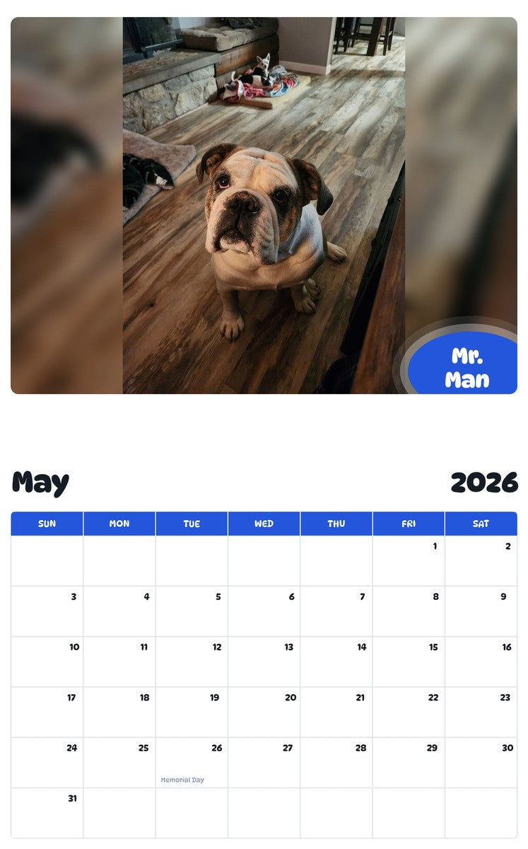 2026 - 2027 Mr. Man - Pawidols Pet Calendar