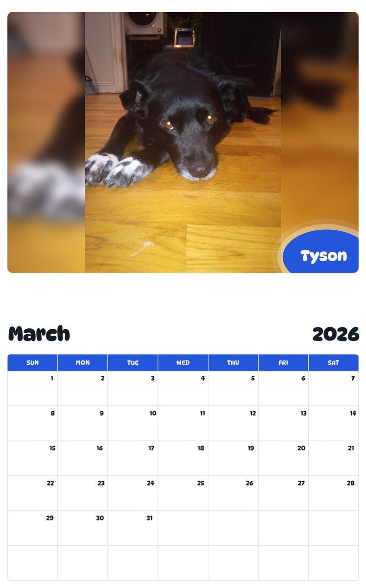 November 2025 - October 2026 Tyson - Pawidols Pet Calendar