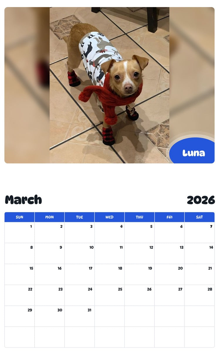 November 2025 - October 2026 Luna - Pawidols Pet Calendar