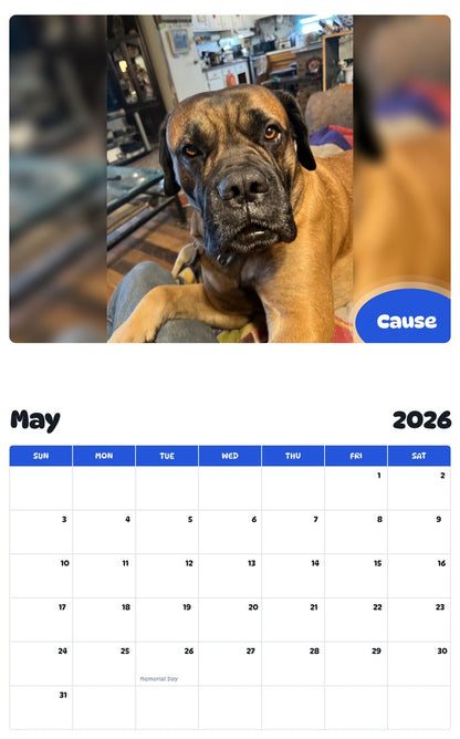 2026 - 2027 Cause - Pawidols Pet Calendar