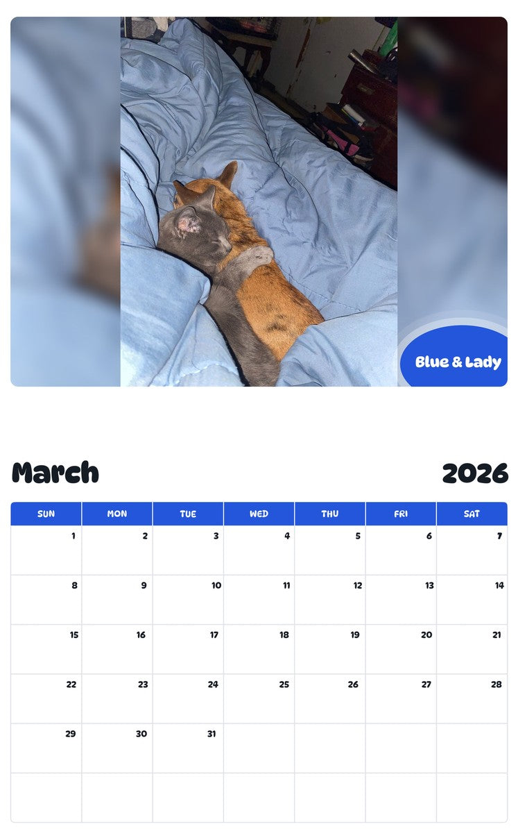 November 2025 - October 2026 Blue & Lady - Pawidols Pet Calendar