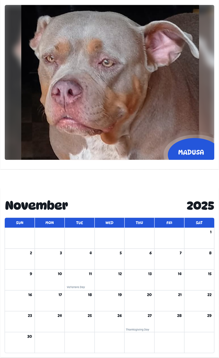 July 2025 - June 2026 Madusa - Pawidols Pet Calendar