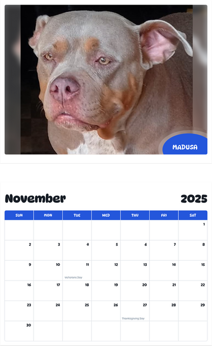 July 2025 - June 2026 Madusa - Pawidols Pet Calendar