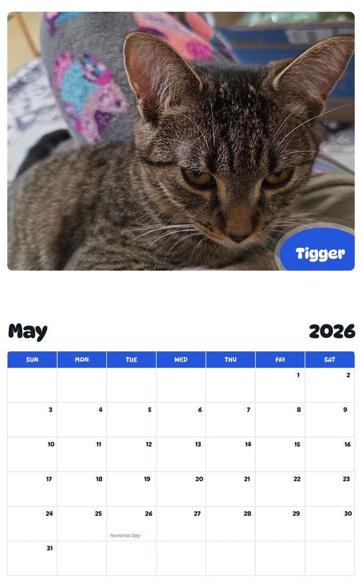 2026 - 2027 Tigger - Pawidols Pet Calendar