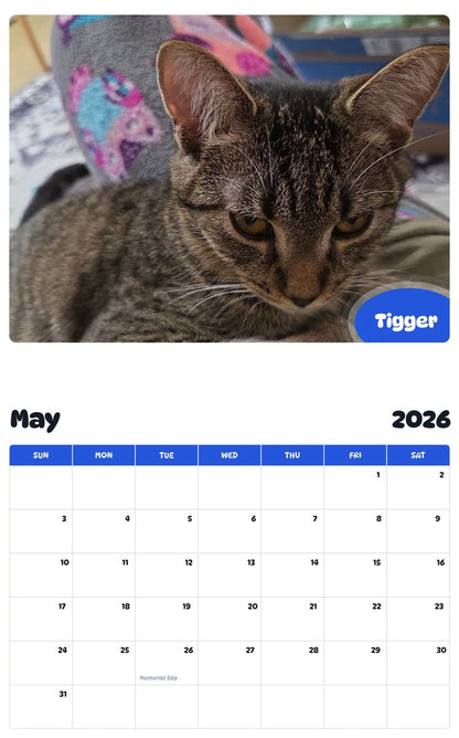 2026 - 2027 Tigger - Pawidols Pet Calendar