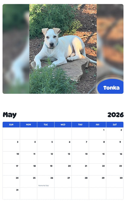 2026 - 2027 Tonka - Pawidols Pet Calendar