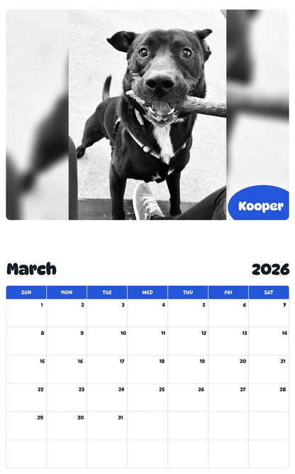 November 2025 - October 2026 Kooper - Pawidols Pet Calendar