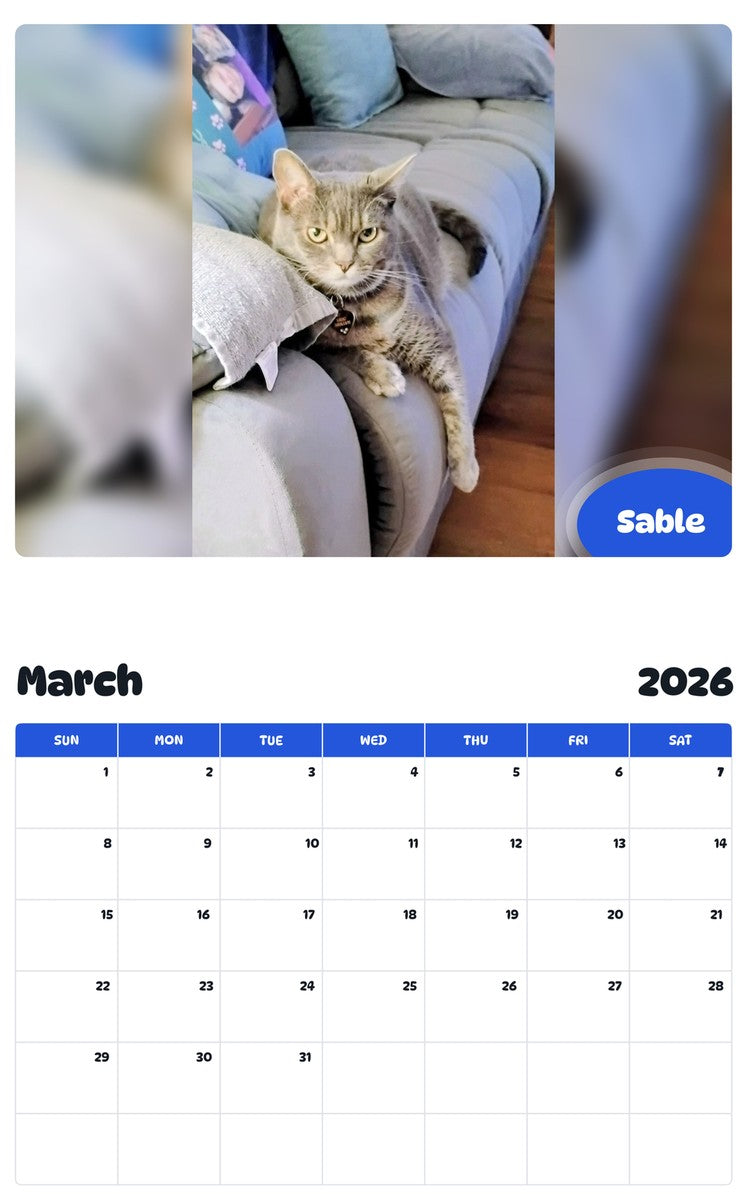 November 2025 - October 2026 Sable - Pawidols Pet Calendar