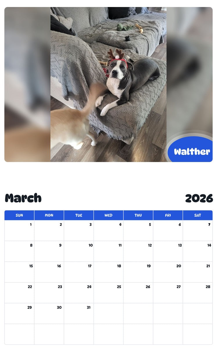 November 2025 - October 2026 Walther - Pawidols Pet Calendar
