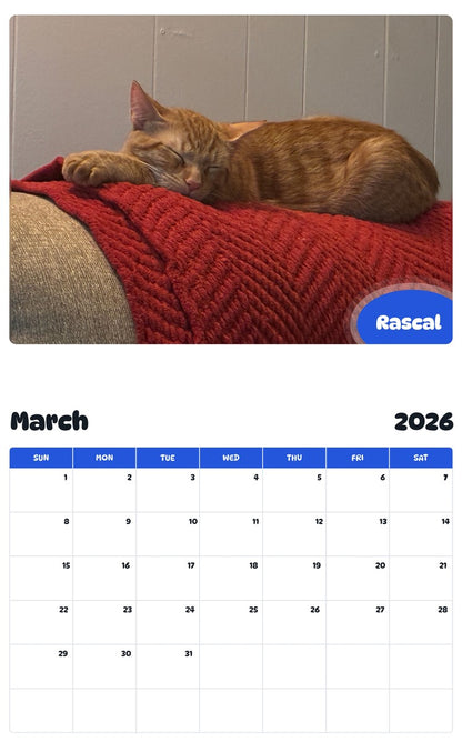November 2025 - October 2026 Rascal - Pawidols Pet Calendar
