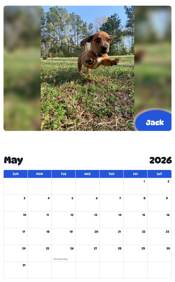 2026 - 2027 Jack - Pawidols Pet Calendar