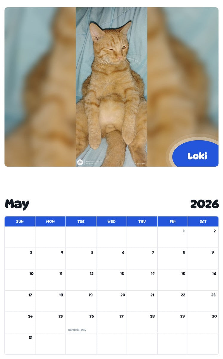 2026 - 2027 Loki - Pawidols Pet Calendar