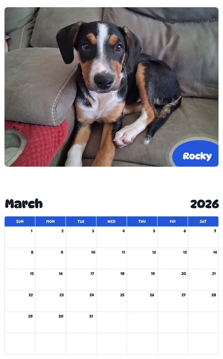 November 2025 - October 2026 Rocky - Pawidols Pet Calendar