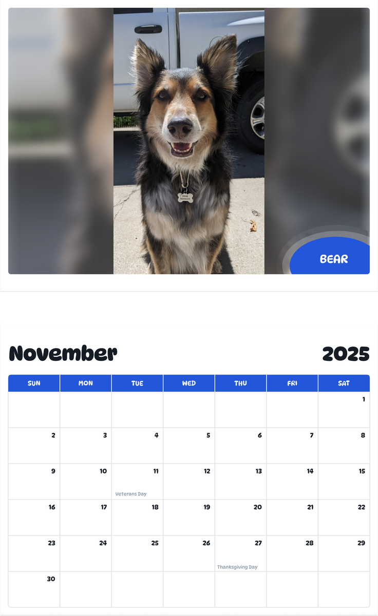 July 2025 - June 2026 Bear - Pawidols Pet Calendar