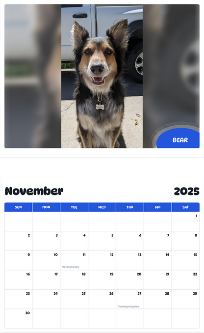 July 2025 - June 2026 Bear - Pawidols Pet Calendar
