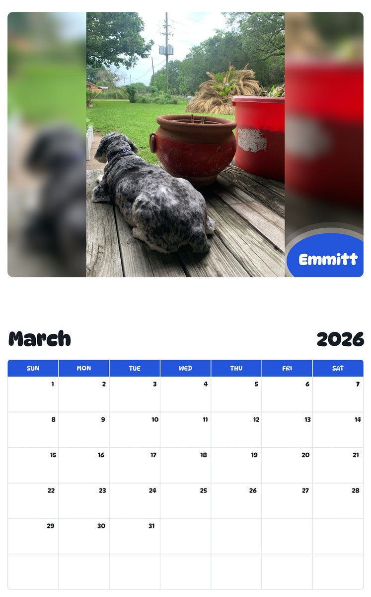 November 2025 - October 2026 Emmitt - Pawidols Pet Calendar
