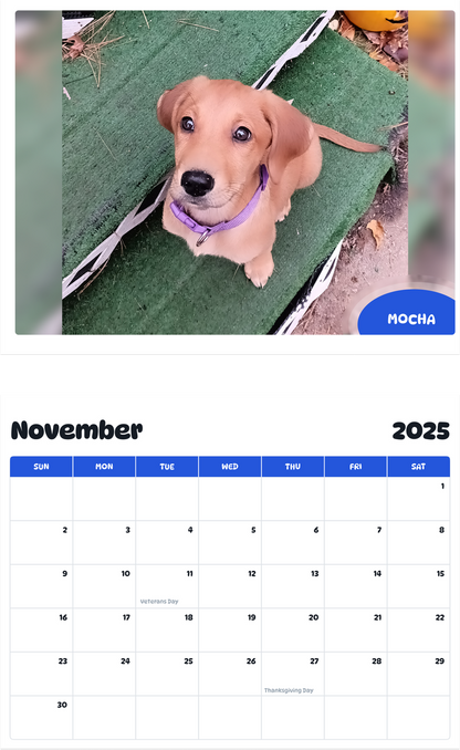 July 2025 - June 2026 Mocha - Pawidols Pet Calendar