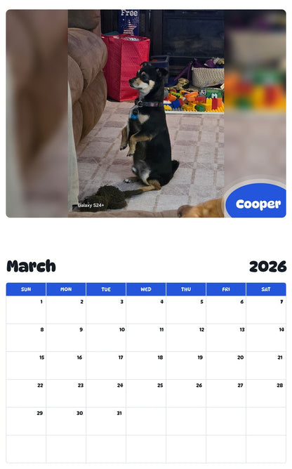 November 2025 - October 2026 Cooper - Pawidols Pet Calendar