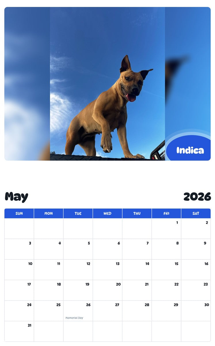 2026 - 2027 Indica - Pawidols Pet Calendar
