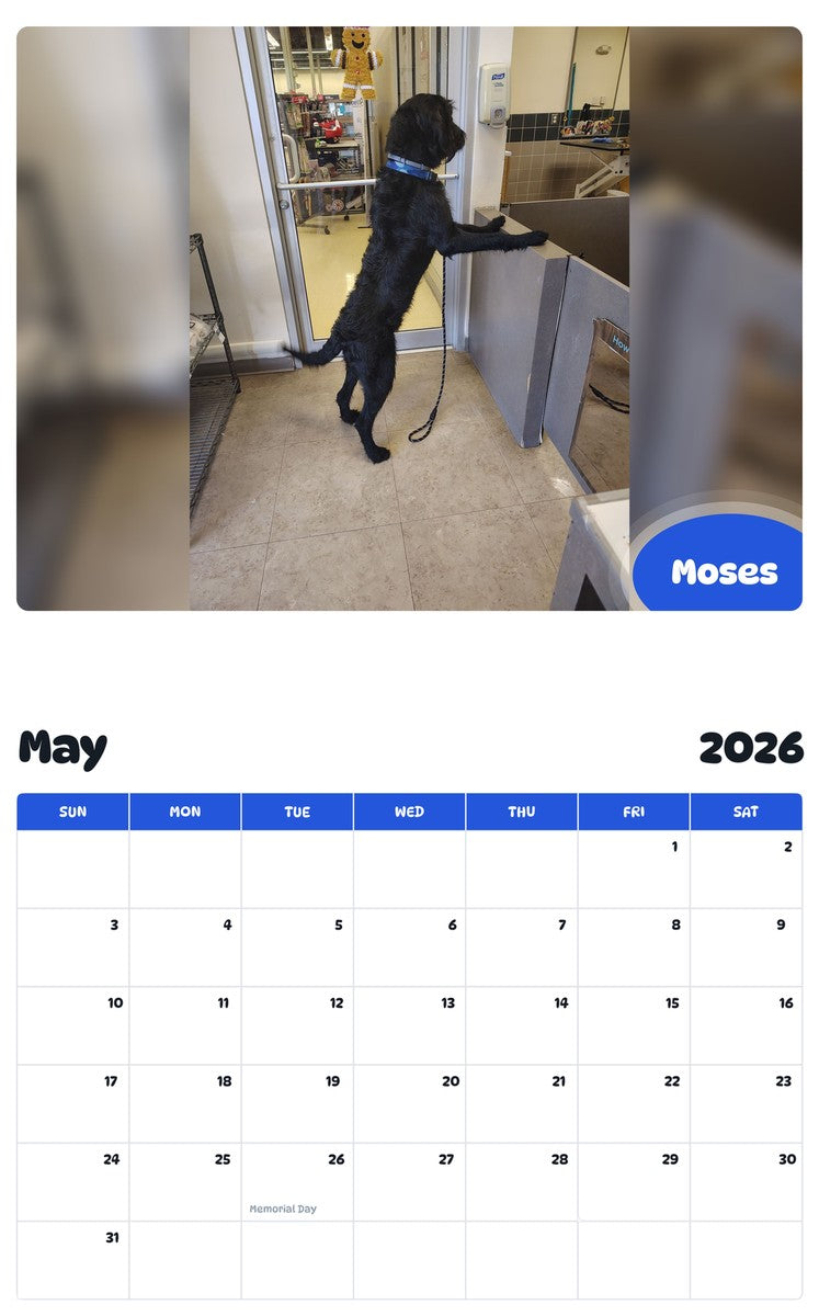 2026 - 2027 Moses - Pawidols Pet Calendar