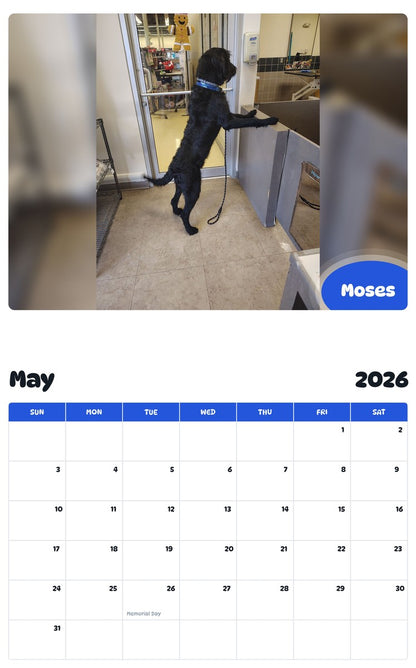 2026 - 2027 Moses - Pawidols Pet Calendar