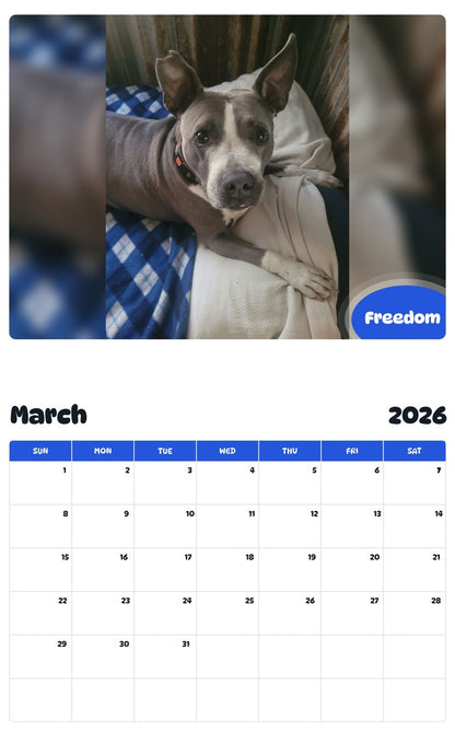 November 2025 - October 2026 Freedom - Pawidols Pet Calendar