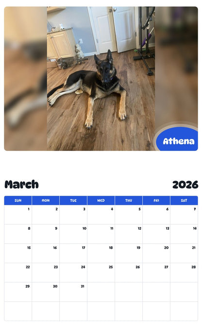 November 2025 - October 2026 Athena - Pawidols Pet Calendar