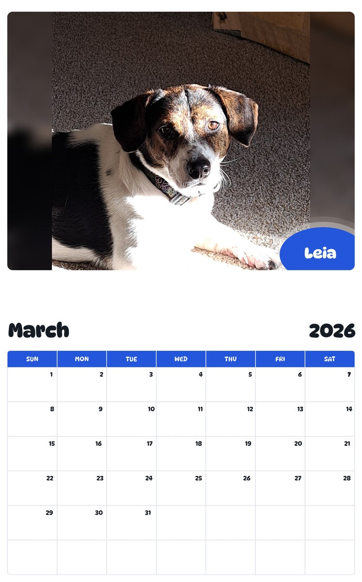 November 2025 - October 2026 Leia - Pawidols Pet Calendar