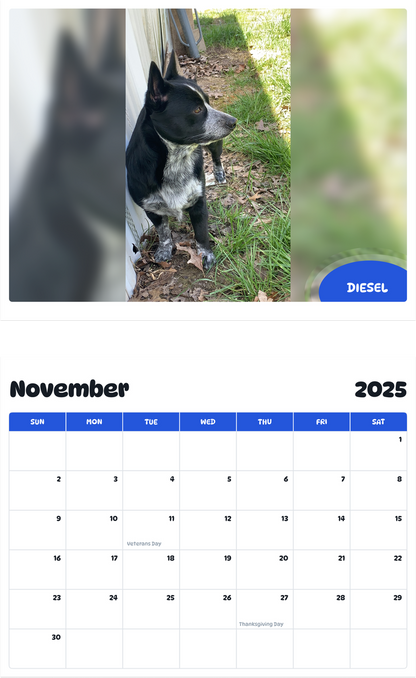 July 2025 - June 2026 Diesel - Pawidols Pet Calendar