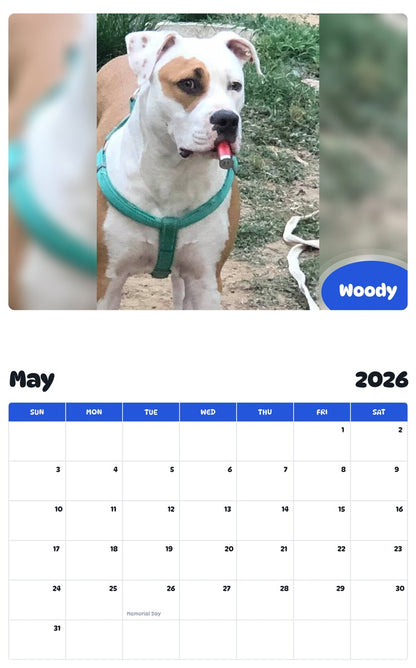 2026 - 2027 Woody - Pawidols Pet Calendar