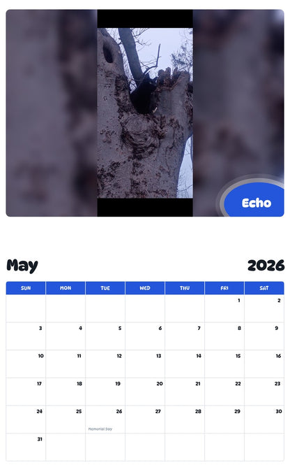 2026 - 2027 Echo - Pawidols Pet Calendar