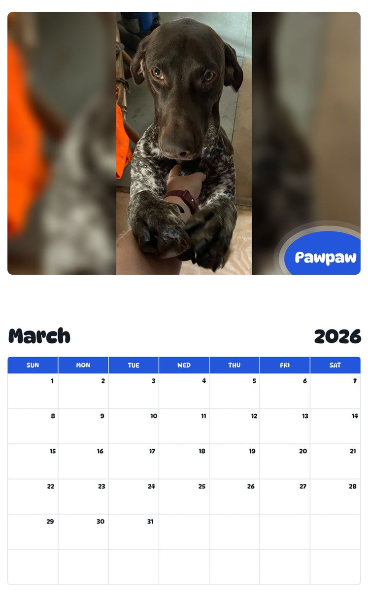 November 2025 - October 2026 Pawpaw - Pawidols Pet Calendar