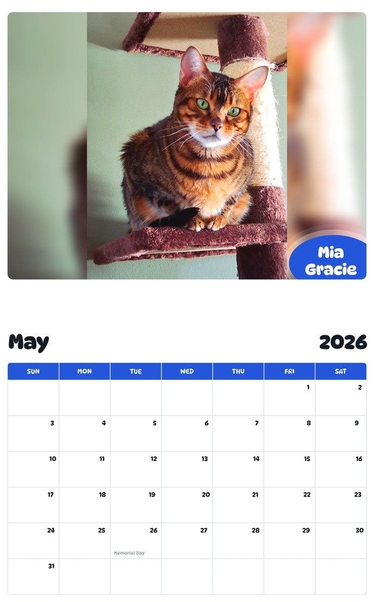 2026 - 2027 Mia Gracie - Pawidols Pet Calendar