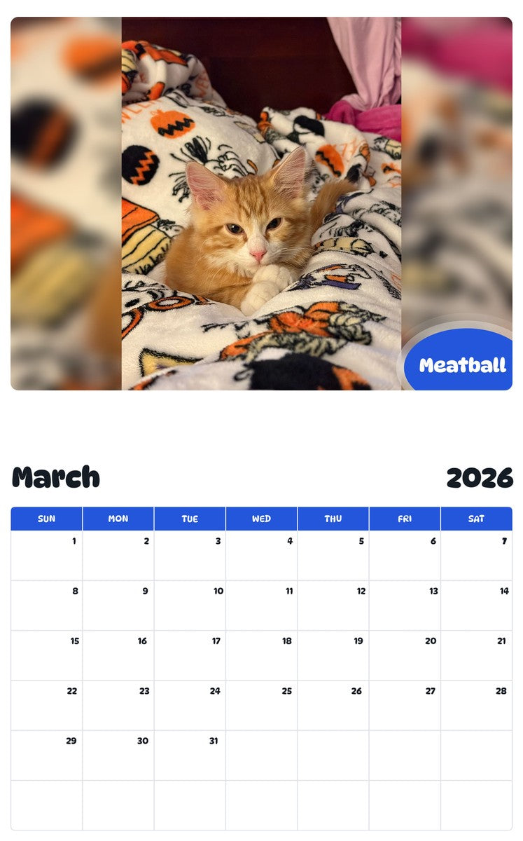 November 2025 - October 2026 Meatball - Pawidols Pet Calendar