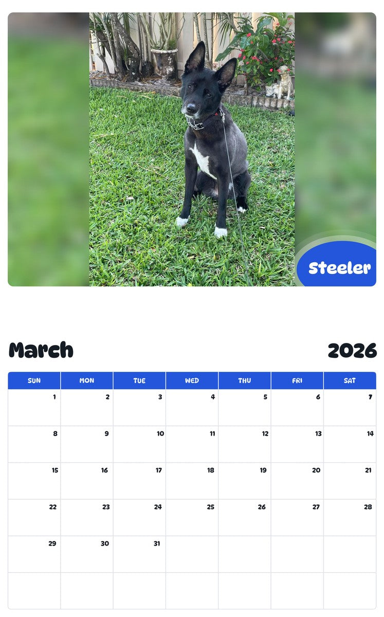 November 2025 - October 2026 Steeler - Pawidols Pet Calendar