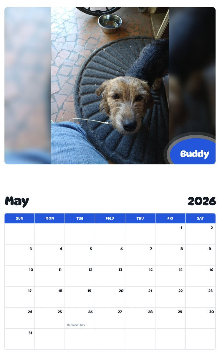 2026 - 2027 Buddy - Pawidols Pet Calendar