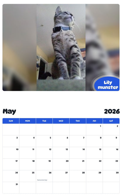 2026 - 2027 Lily munster - Pawidols Pet Calendar