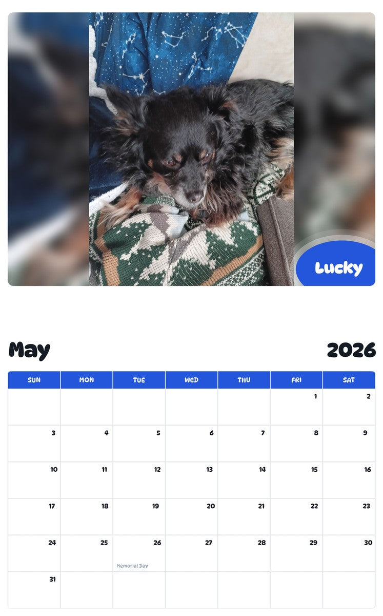 2026 - 2027 Lucky - Pawidols Pet Calendar