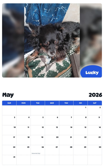2026 - 2027 Lucky - Pawidols Pet Calendar